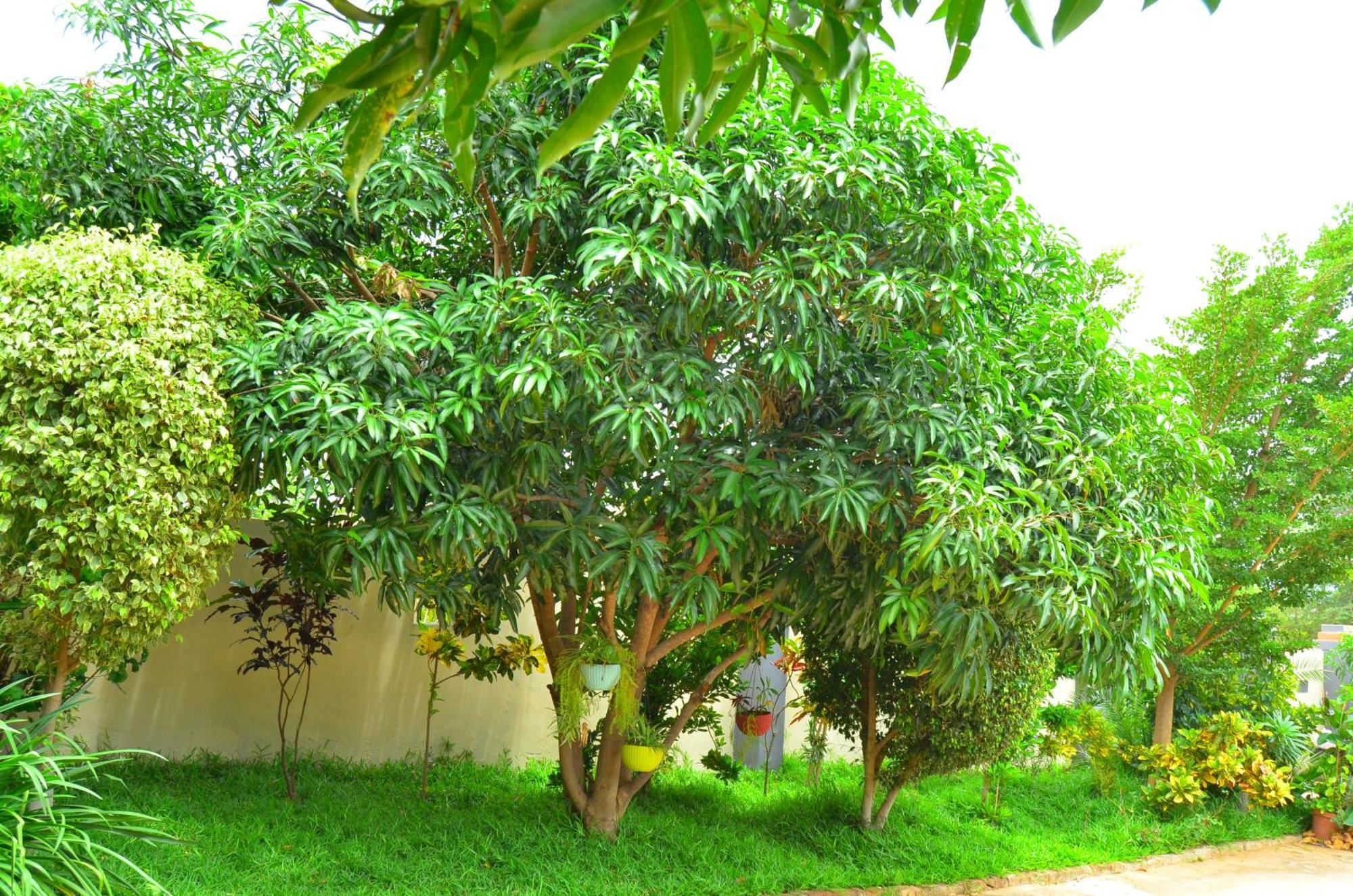 Chobe Kulotu Guest House 카사네 외부 사진
